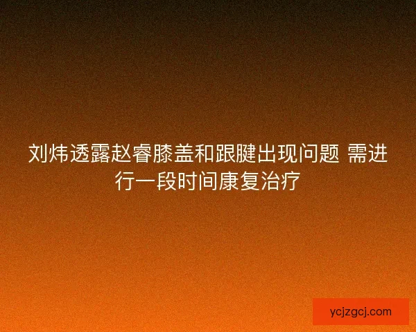刘炜透露赵睿膝盖和跟腱出现问题 需进行一段时间康复治疗