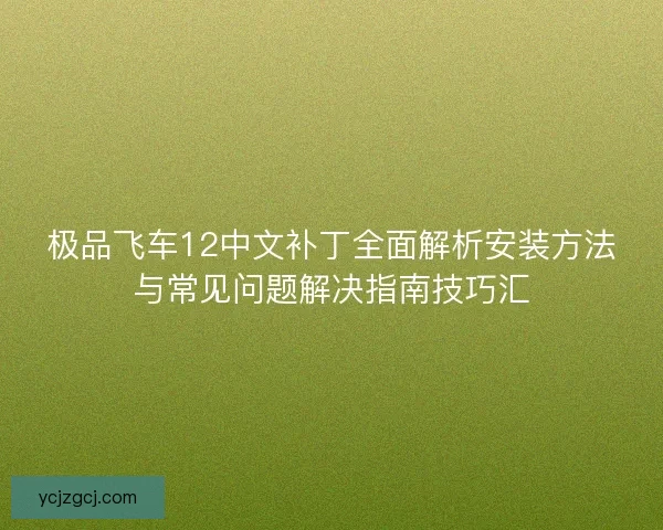 极品飞车12中文补丁全面解析安装方法与常见问题解决指南技巧汇