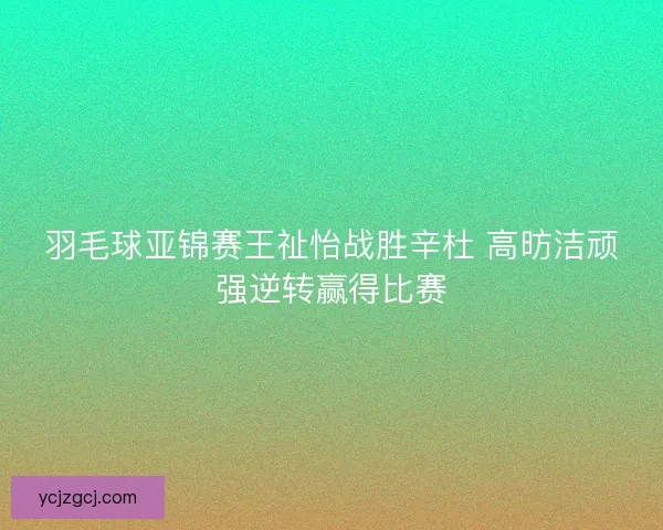 羽毛球亚锦赛王祉怡战胜辛杜 高昉洁顽强逆转赢得比赛